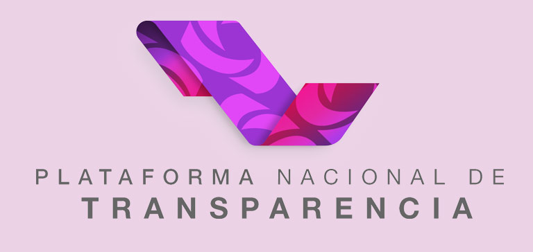 Plataforma de Obligaciones de Transparencia (POT)