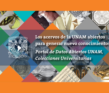 Portal de Colecciones Universitarias